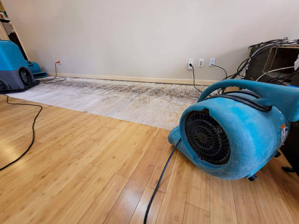Professional Burst Pipe Water Damage technician working in Glen Head, NY